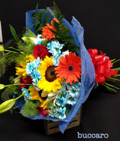Ramo Variado nº23 - 35€
